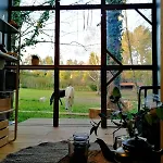 Box - Be In Nature With Direct Train To Porto Valongo (Porto)
