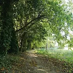 木屋 Box - Be In Nature With Direct Train To Porto 瓦隆古