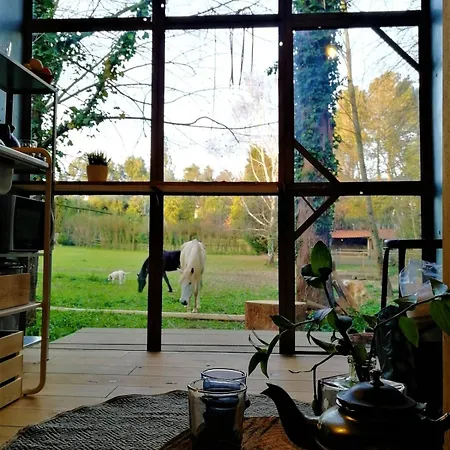 Box - Be In Nature With Direct Train To Porto Valongo (Porto)