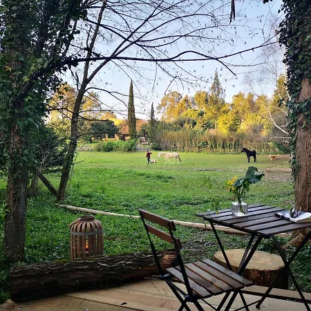 Chalet Box - Be In Nature With Direct Train To Porto *