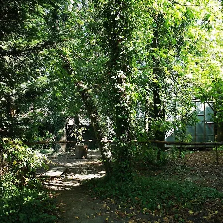 Box - Be In Nature With Direct Train To Porto Chalet *