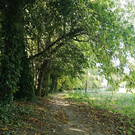 Domek alpejski Box - Be In Nature With Direct Train To Porto Valongo (Porto)
