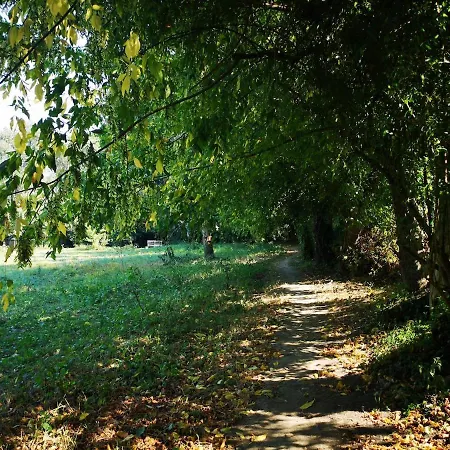 Chalet Box - Be In Nature With Direct Train To Porto