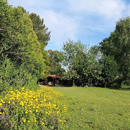 Box - Be In Nature With Direct Train To Porto * Valongo (Porto)